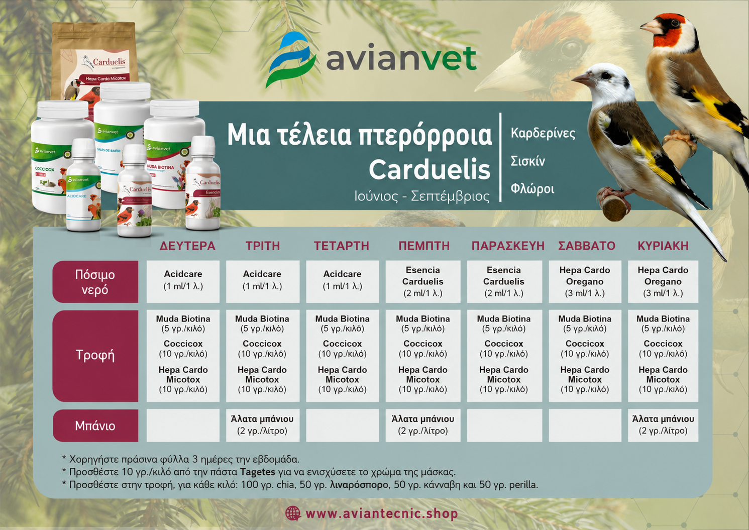 Πρόγραμμα πτερόρροιας καρδερίνας Avianvet